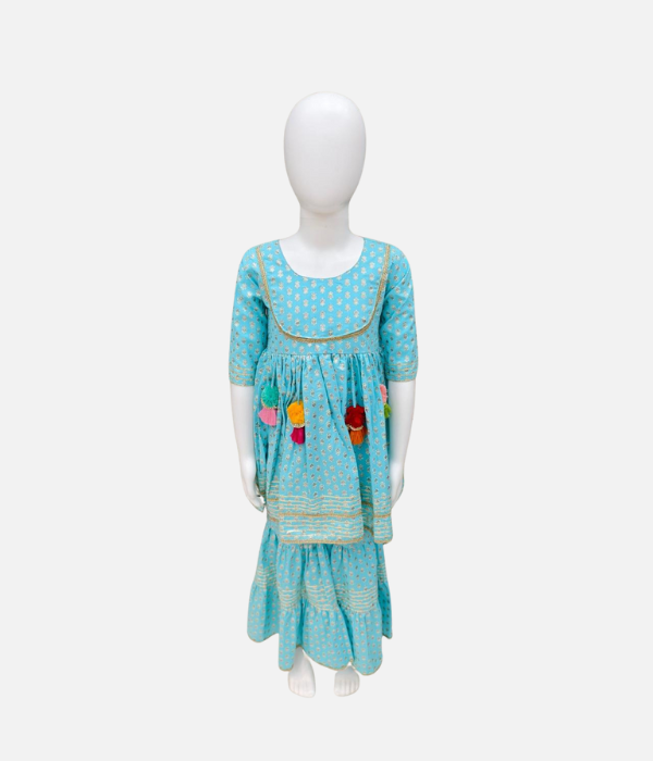 Foil Print Sky Blue Sharara Set